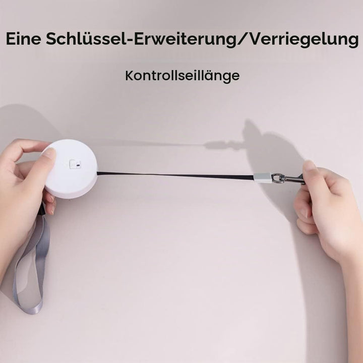 3m/9.8ft Hundeleine, Einziehbare Kleine Hunde Rollleine, Tragbar Automatische Dog Leash für Kleine H