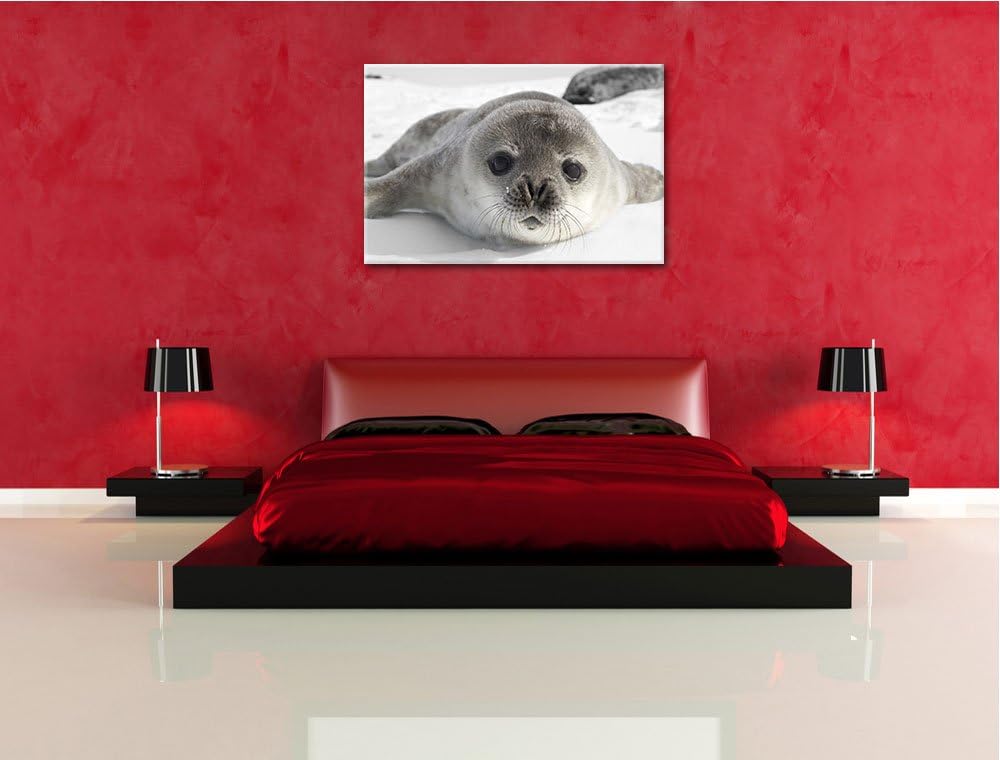 süsses Robben Baby schwarz/weiss Format: 100x70 auf Leinwand, XXL riesige Bilder fertig gerahmt mit