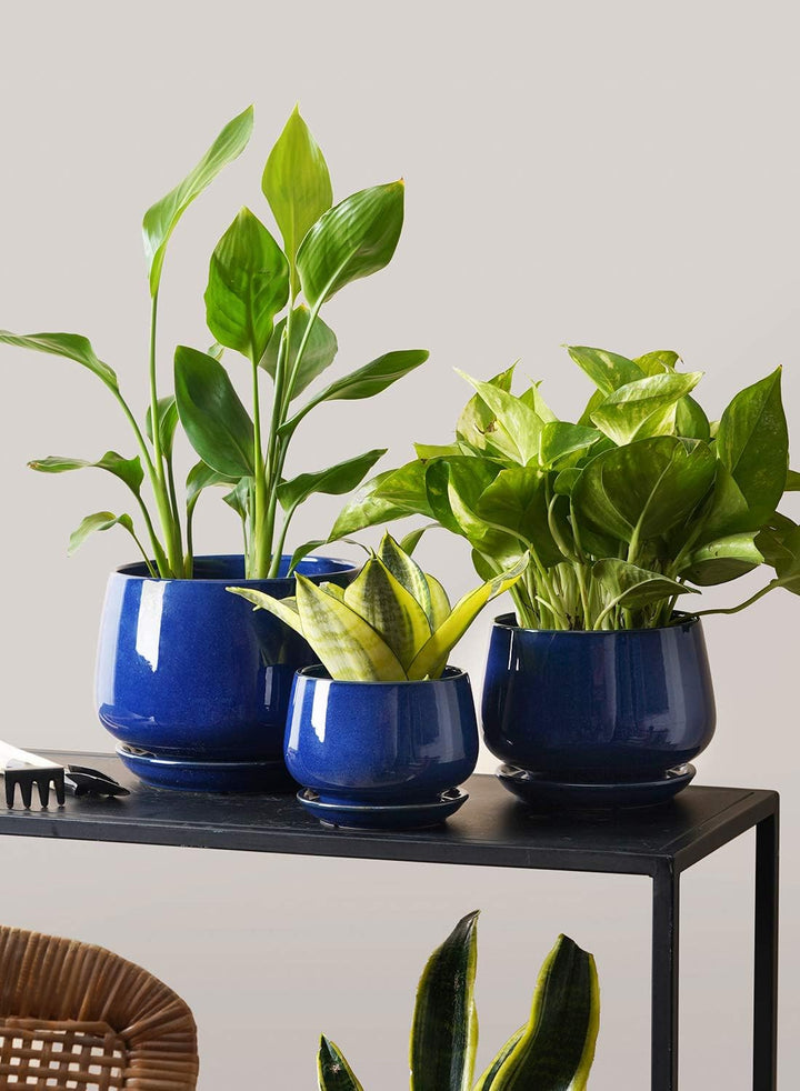 LE TAUCI 3er Pack Keramik Blumentopf, 10+13+16 cm Durchmesser Klein Töpfe Set, übertöpfe für Zimmerp