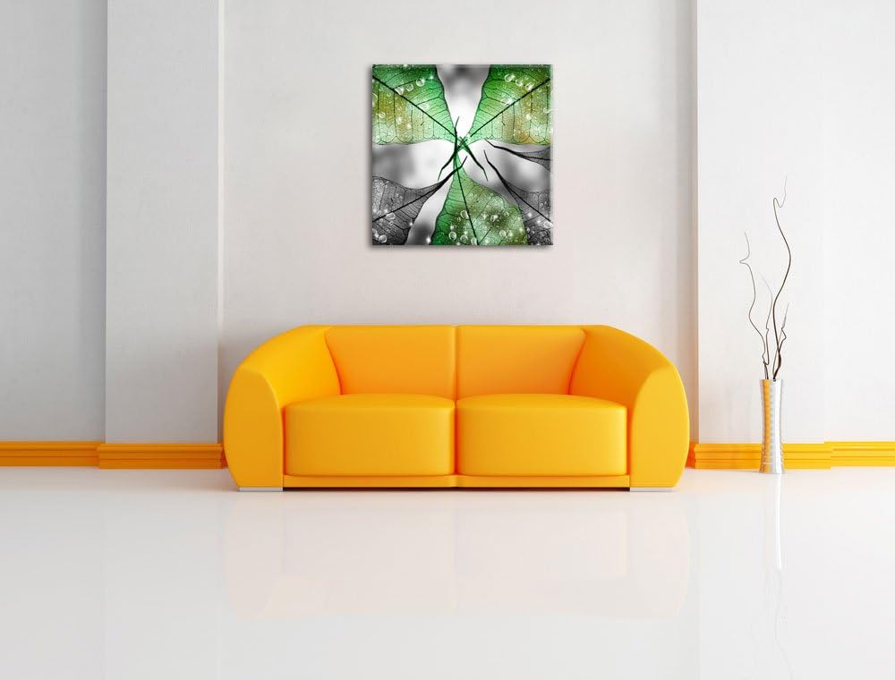 Pixxprint grüne Blätter mit Wassertropfen schwarz/weiss, Format: 70x70 auf Leinwand, 70x70
