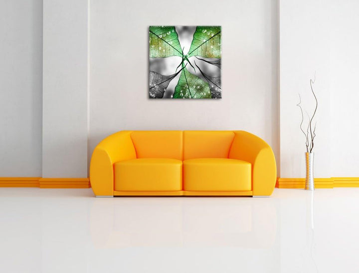 Pixxprint grüne Blätter mit Wassertropfen schwarz/weiss, Format: 70x70 auf Leinwand, 70x70