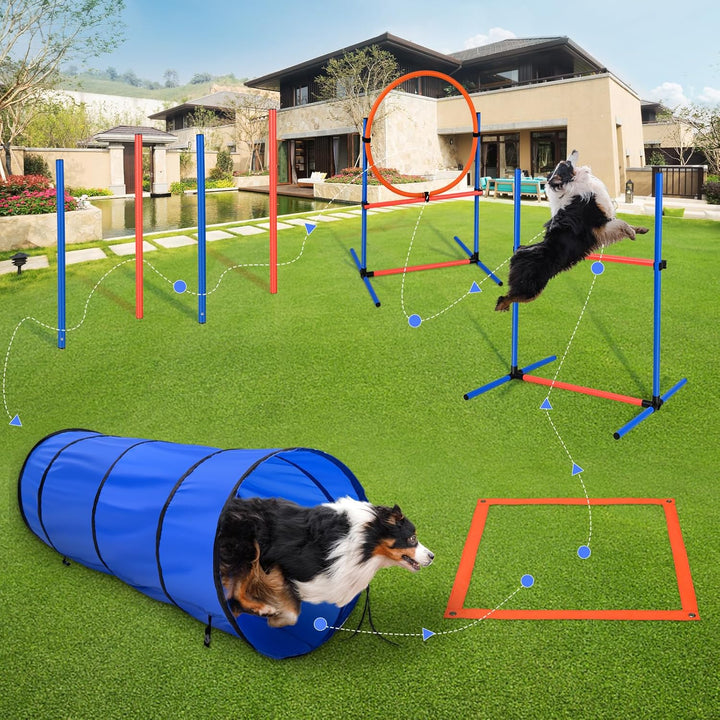 Agility Ausrüstungs Set für Hunde Agility Set mit 170CM Hundetunnel, Hindernisse mit Hundetunnel, 8