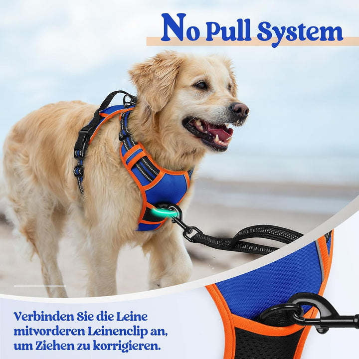 rabbitgoo Hundegeschirr Mittelgrosse Hunde Anti Zug Geschirr Hund mit Kontrolle No Pull Verstellbar