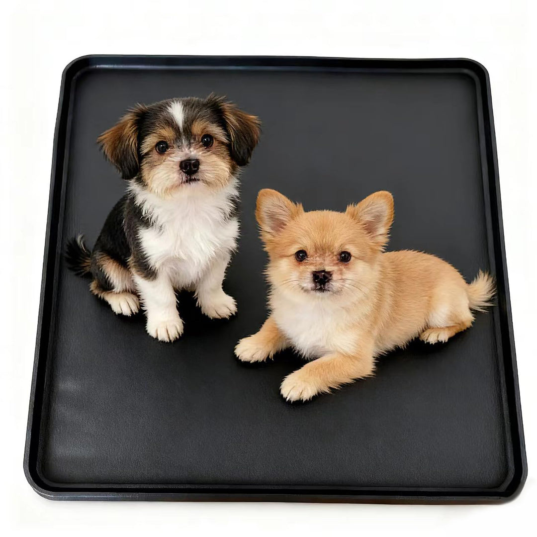 Waschbare Haustier Pads für Hunde und Welpen - Wiederverwendbare Silikon Urinmatte für Puppy, Mehrzw