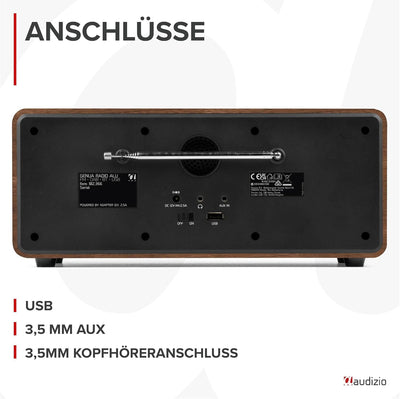 Audizio Genua DAB Radio mit Bluetooth – Stereo DAB Plus Radio mit Fernbedienung, 60 Speicherplätze,