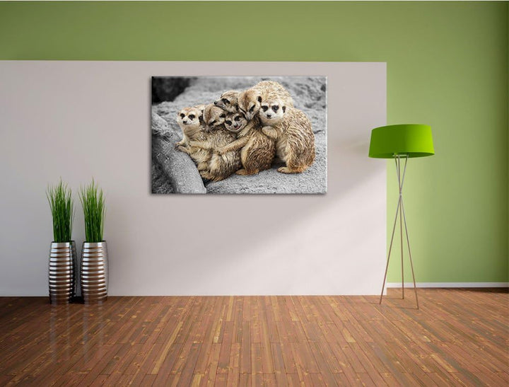 süsse Erdmännchen kuscheln schwarz/weiss Format: 100x70 auf Leinwand, XXL riesige Bilder fertig gera
