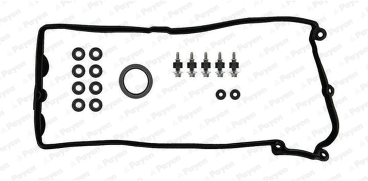 Payen HM5296 Dichtungssatz, Zylinderkopfhaube