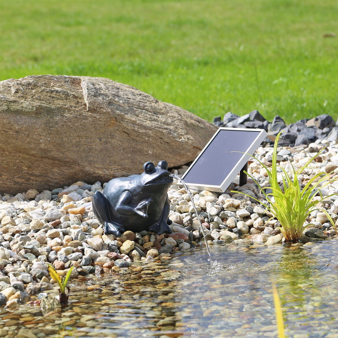 CLGarden Solar Wasserspeier Frosch NSP9 Springbrunnen für Teich mit Pumpe Solarpumpe + Frosch 1