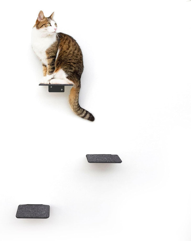 LucyBalu® STEPS XL Katzentreppe Wand Innen Aussen 3er Set | Katzen Kletterwand | Wandpark für Katzen
