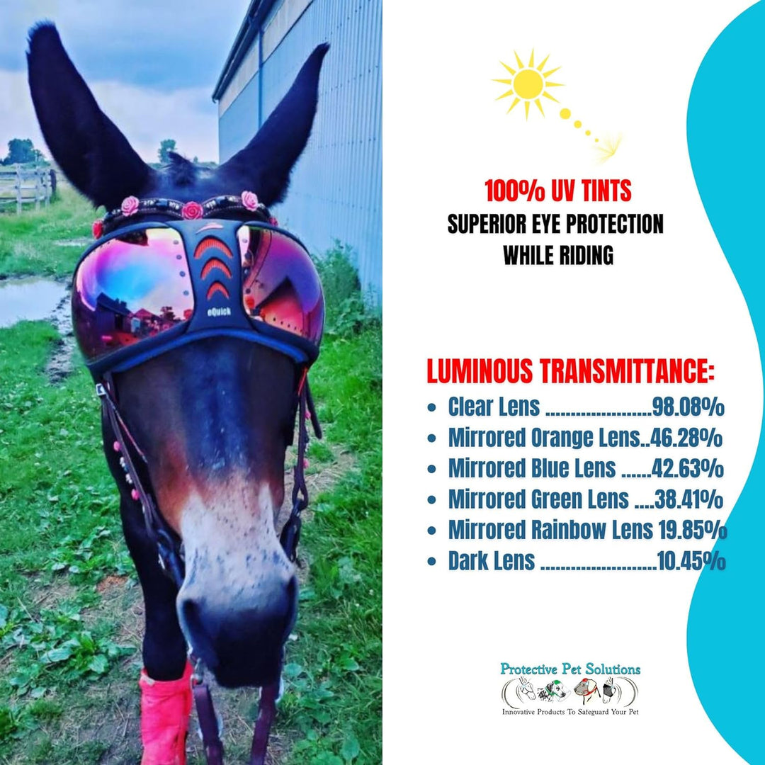 EQUICK Brille Pferd eVysor