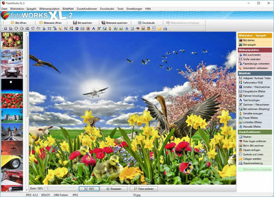 Fotoworks XL 2 (2024er Version) Bildbearbeitungsprogramm zur Bildbearbeitung in Deutsch - umfangreic
