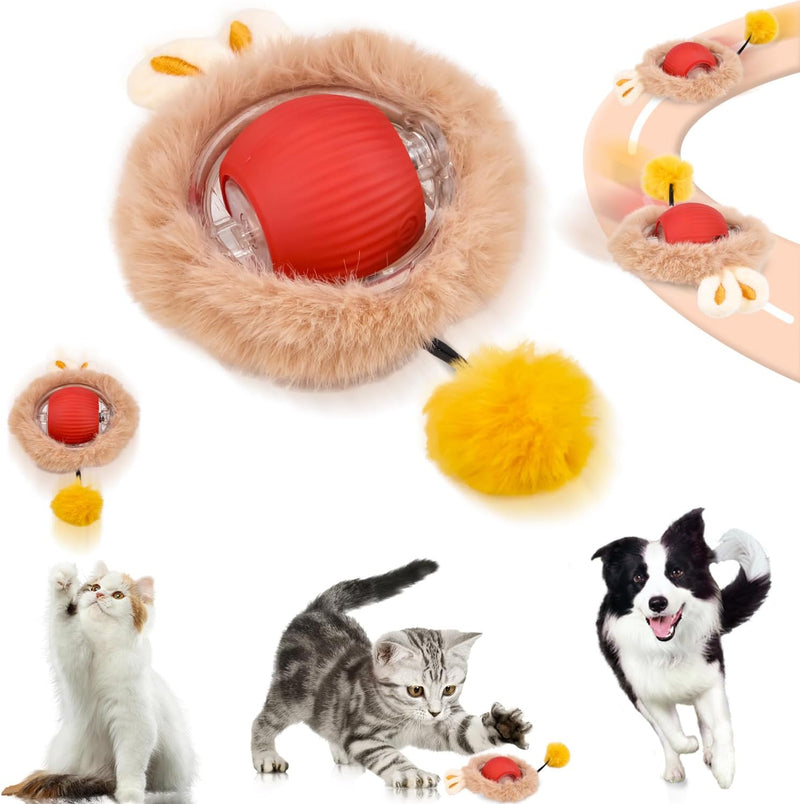 Katzenball Elektrisch, Interaktives Katzenball Spielzeug, Chewie Rolling Ball, Interaktives Hunde Ba