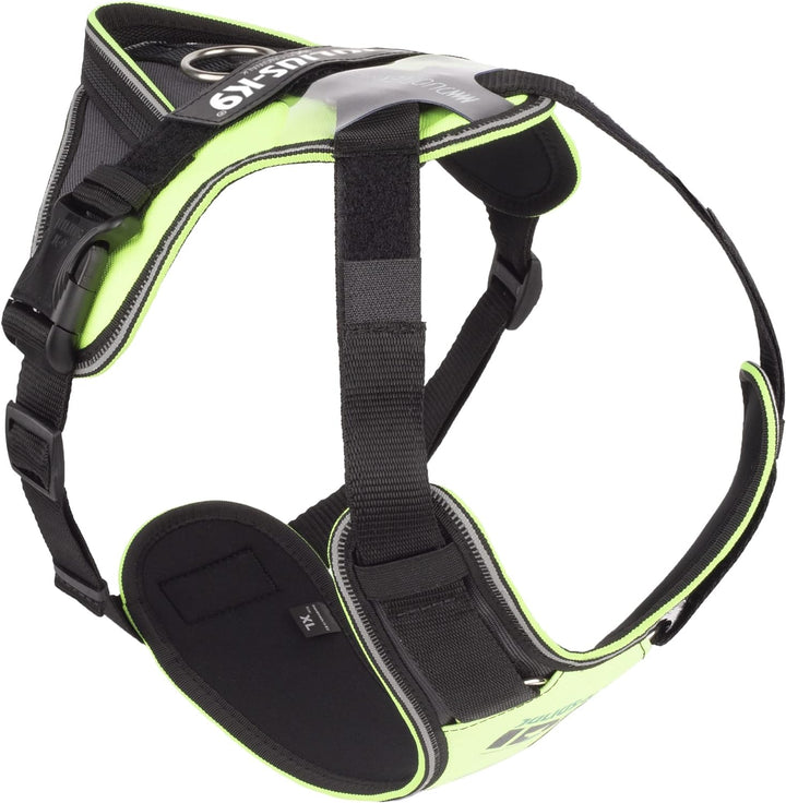 IDC Longwalk Geschirr, Neon-Grau, Grösse: XL Neon-Grau XL, Neon-Grau XL
