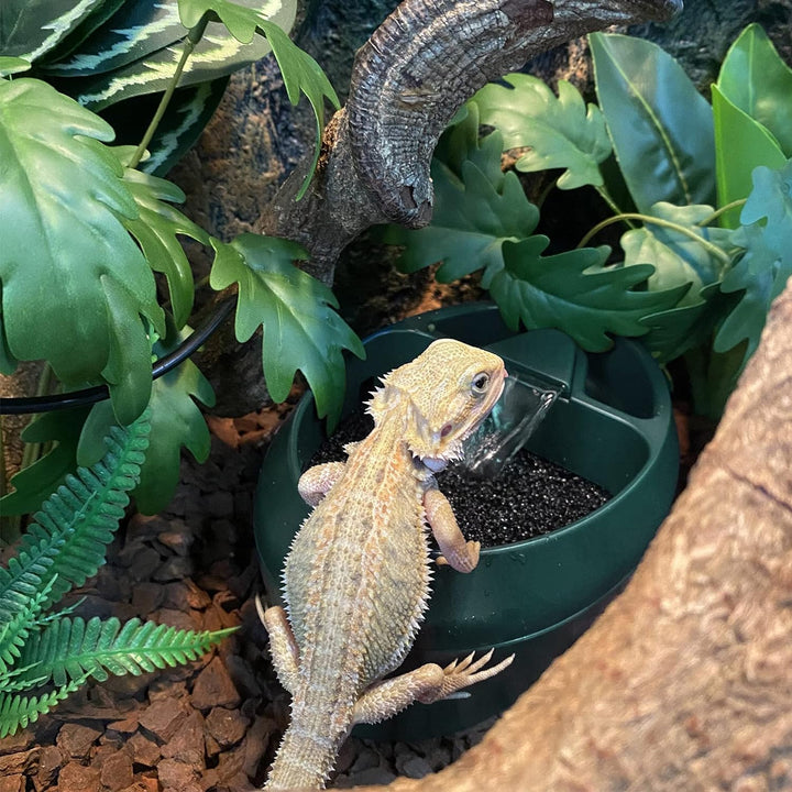 NEPTONION Reptil Chamäleon Kantine mit Snacks Trog, Trinkbrunnen Wassertropfe für Amphibien, Insekte