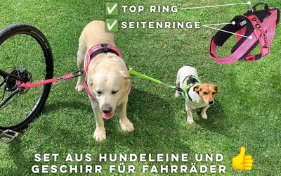 BIKE AND DOG - Hundeleine und Hundegeschirr für das Fahrrad, Geschirr mit 3 Ringen, Davon 2 seitlich