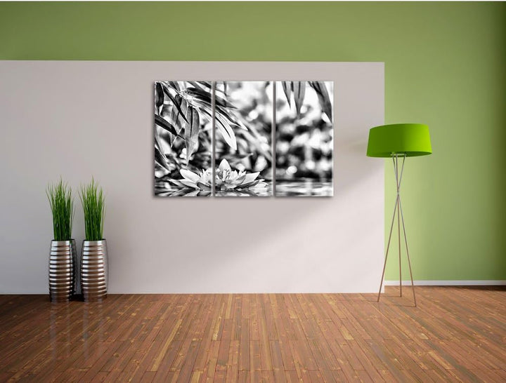 Pixxprint Weisse Seerose im Wasser Wellness als Leinwandbild/Grösse: 3 Teilig (120x80) cm/Wandbild/K