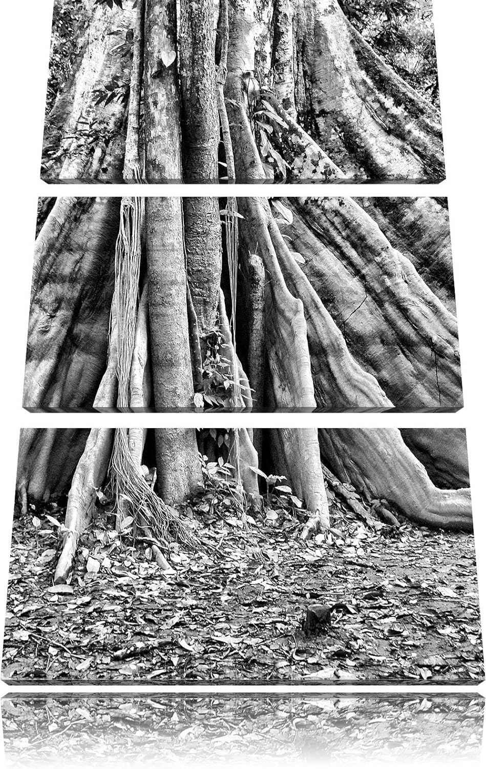 Pixxprint Mächtiger Urwald Baum als Leinwandbild/Grösse: 3 Teilig (120x80) cm/Wandbild/Kunstdruck/fe