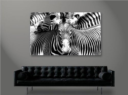 islandburner Bild Bilder auf Leinwand Zebra Zebras 1p XXL Poster Leinwandbild Wandbild Dekoartikel W