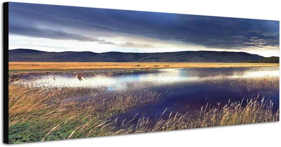 Paul Sinus Art Panoramabild auf Leinwand und Keilrahmen 150x50cm Chile Nationalpark Berge Wiese See