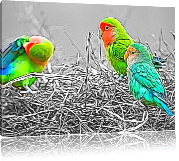 kleine süsse Papageien im Nest schwarz/weiss Deluxe Format: 100x70 cm auf Leinwand, XXL riesige Bild