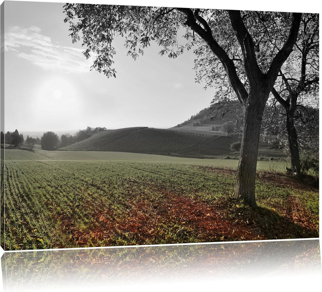 Pixxprint Landschaft im Herbst als Leinwandbild/Grösse: 100x70 cm/Wandbild/Kunstdruck/fertig bespann