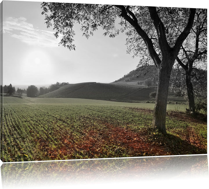 Pixxprint Landschaft im Herbst als Leinwandbild/Grösse: 100x70 cm/Wandbild/Kunstdruck/fertig bespann