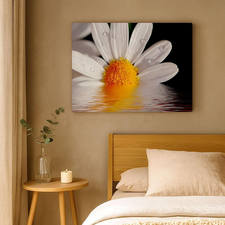 Bilder auf Leinwand Kraut Kamille Blume Wasser Leinwandbild 70x50cm Wandbilder Dekoration Wohnzimmer
