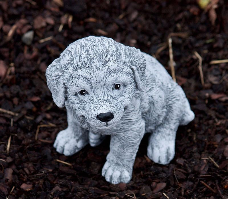 stoneandstyle Steinfigur Berner Sennenhund Welpe, Frost- und wetterfest bis -30°C, massiver Steingus