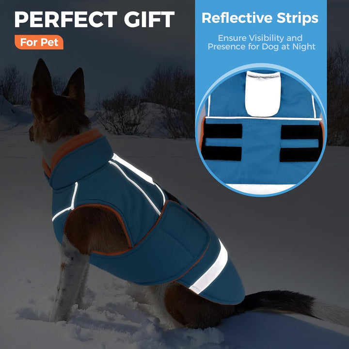 CITÉTOILE Wasserdichter Hundemantel mit Leinenöffnung Blau S | Zweifarbige Hundejacke mit Klettversc