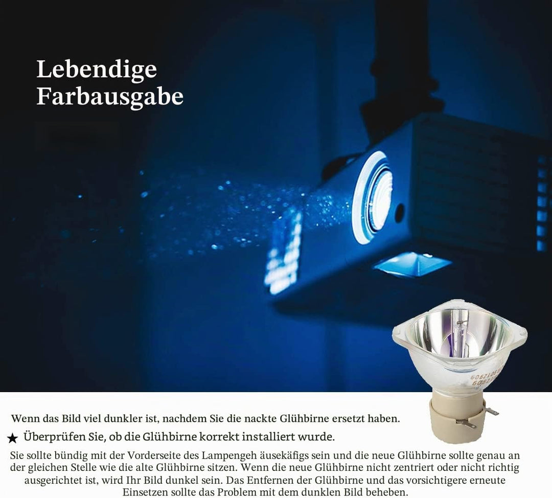 Aimdio Beamer Ersatzlampe für BENQ TH530 MH530 MW526 TW529 MS527 MS524 MS521P MS514h MS517H 5J.JFH05