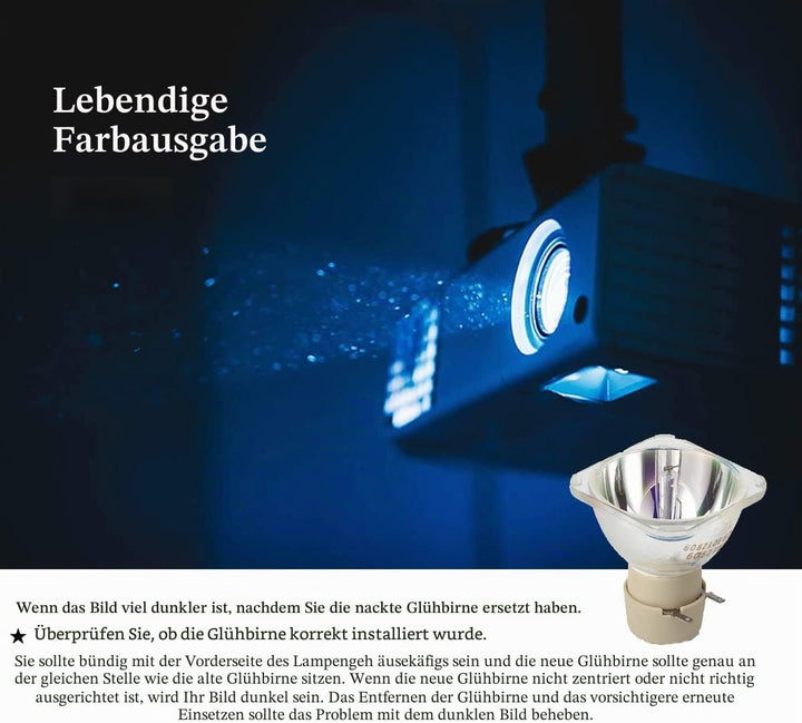 Aimdio Beamer Ersatzlampe für BENQ TH530 MH530 MW526 TW529 MS527 MS524 MS521P MS514h MS517H 5J.JFH05