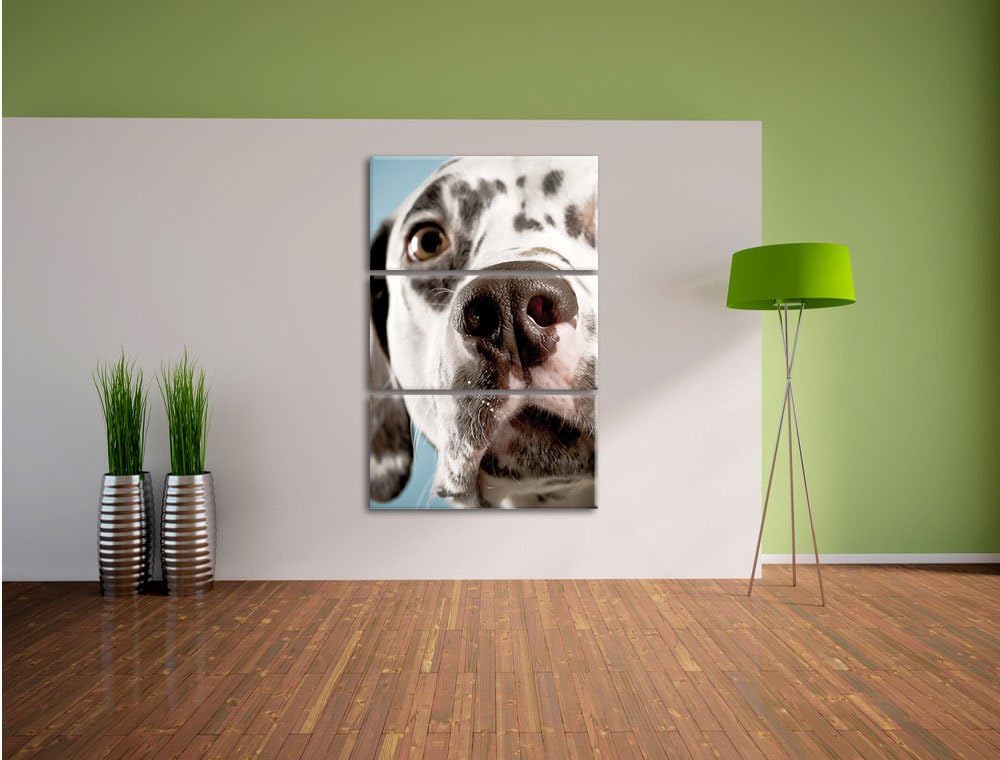 Pixxprint Süsser Dalmatiner als Leinwandbild/Grösse: 3 Teilig (120x80) cm/Wandbild/Kunstdruck/fertig
