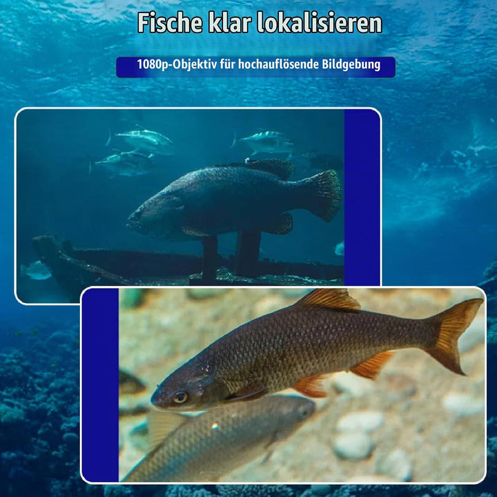 Bewinner Unterwasser Angeldrohne mit 1080P HD Kamera - 30m Kabel &amp; 4,3 Zoll Display, Fischfinder für