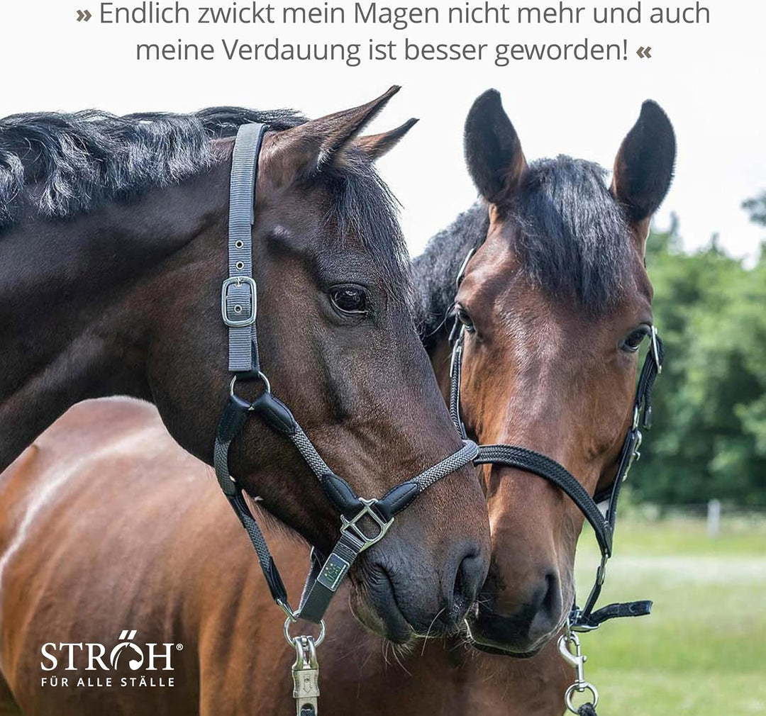 STRÖH Magenruhe Pferd (12kg Feedbox) Magenruhe Pferd (1kg) • Für Pferde Magen, Darm &amp; Verdauung • Mi