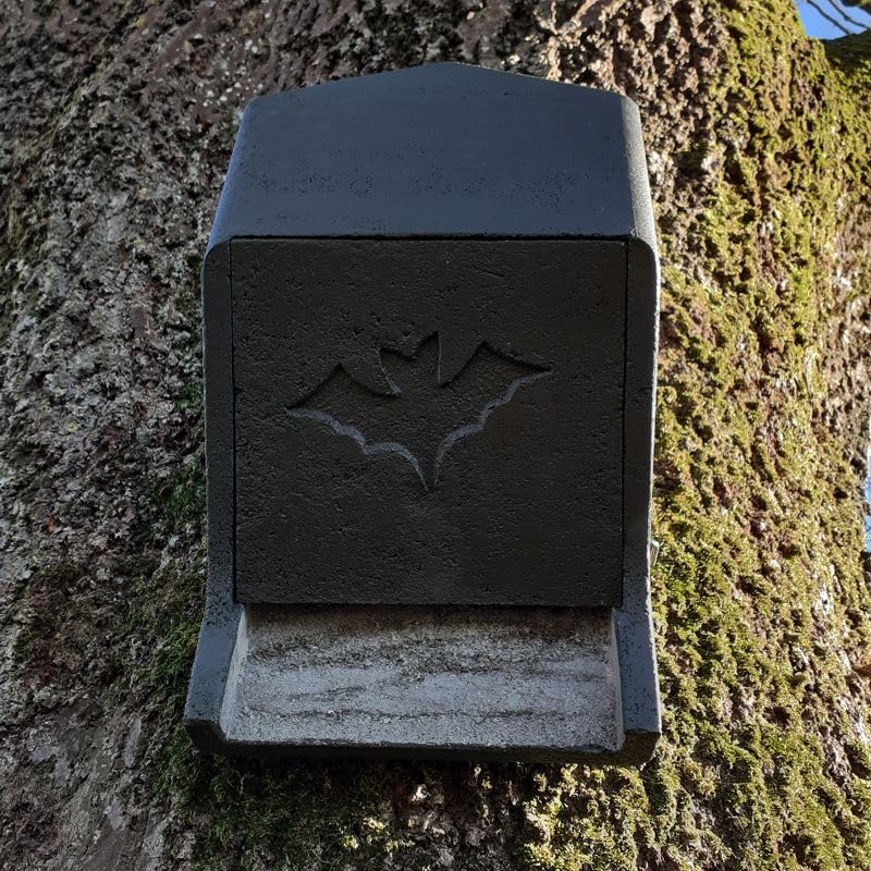 Fledermaus Grossraumkasten universal aus Holzbeton | Wetterfest | Fledermausquartier | Fledermauswoc
