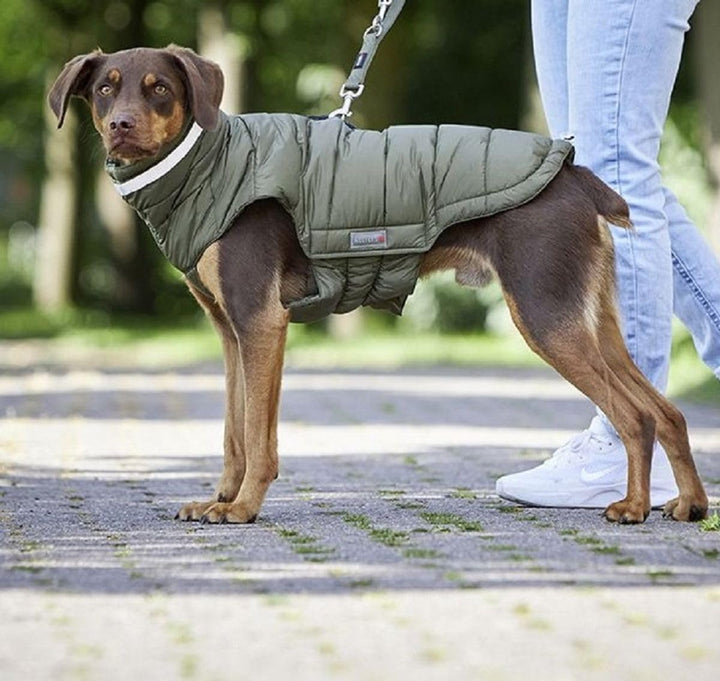 Wolters Steppjacke Cosy, Grösse:40 cm, Farbe:Olive 40 cm olive, 40 cm olive
