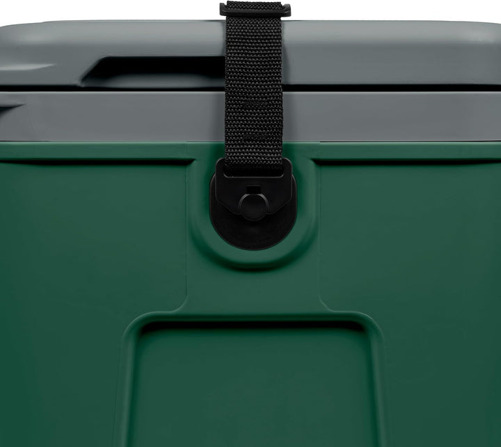 Steamy BMX 21, Kühlbox Inklusive Trennwand und Einlegeschale, 21 Liter, Grün