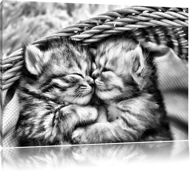 Monocrome, Baby Katze, Format: 100x70 auf Leinwand, XXL riesige Bilder fertig gerahmt mit Keilrahmen