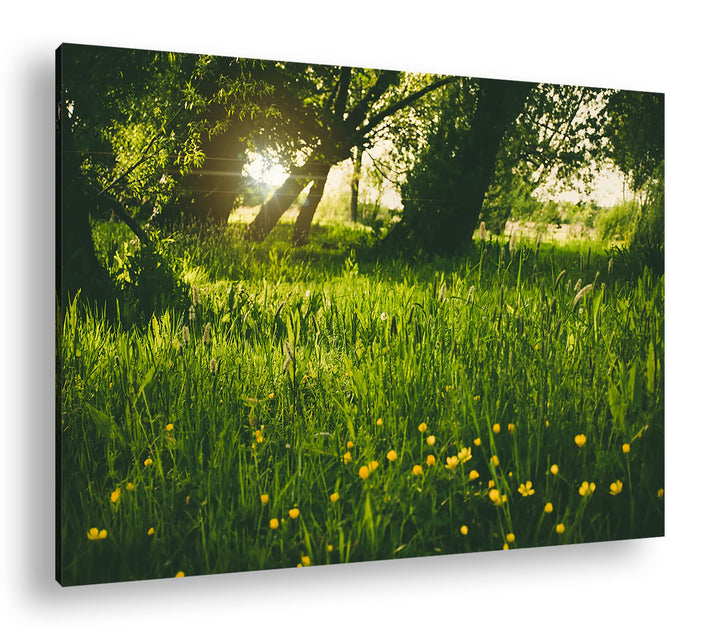 deyoli zauberhafte Butterblumen auf einer Wiese Format: 100x70 als Leinwand, Motiv fertig gerahmt au