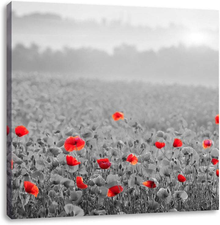 Pixxprint atemberaubend schöne Mohnwiese schwarz/weiss, Format: 70x70 auf Leinwand, 70x70