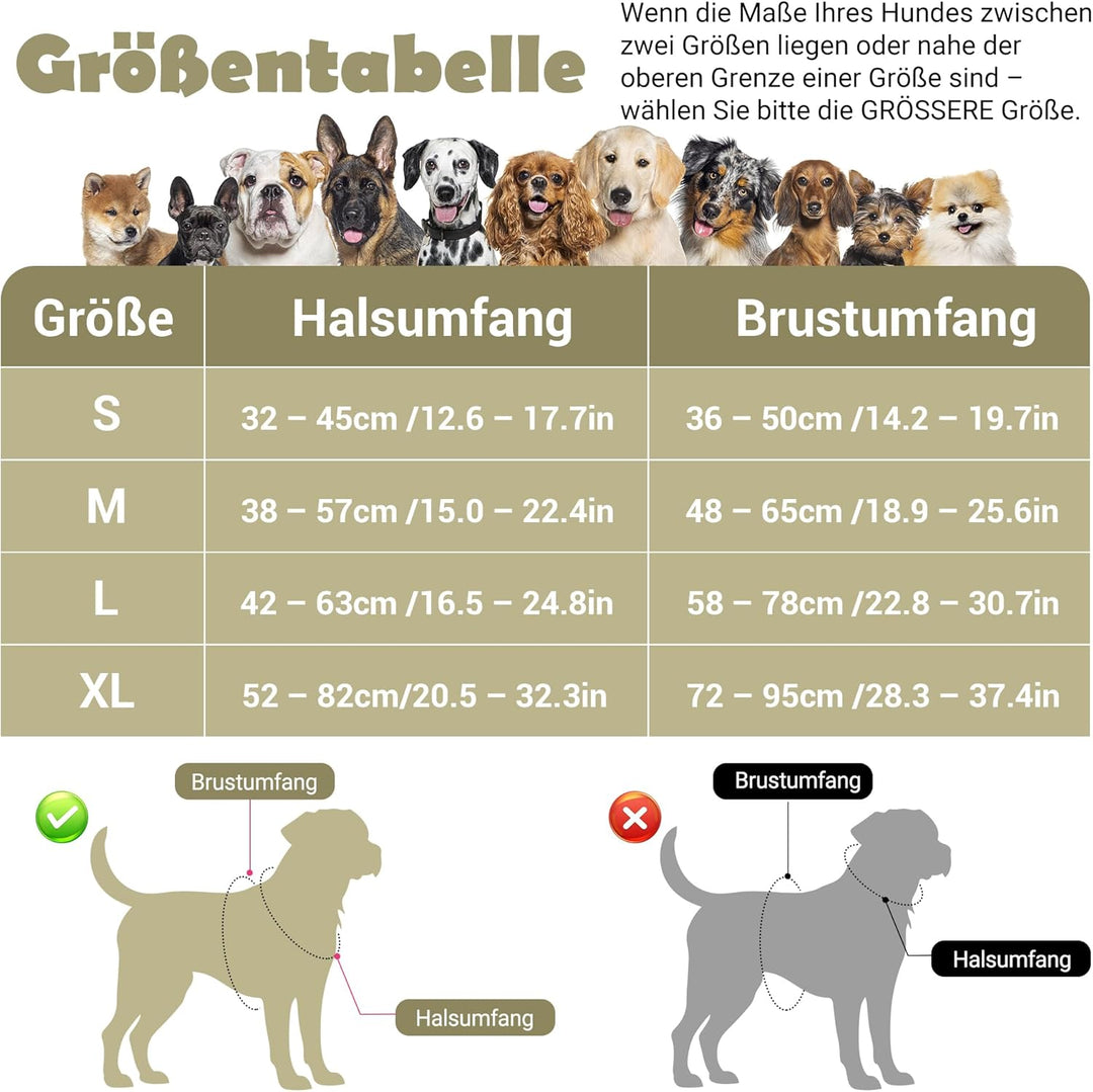 Funfox Hundegeschirr Kleine Hunde [XL] - Anti Zug Welpengeschirr mit Griff & Ringreflektoren, Atmung