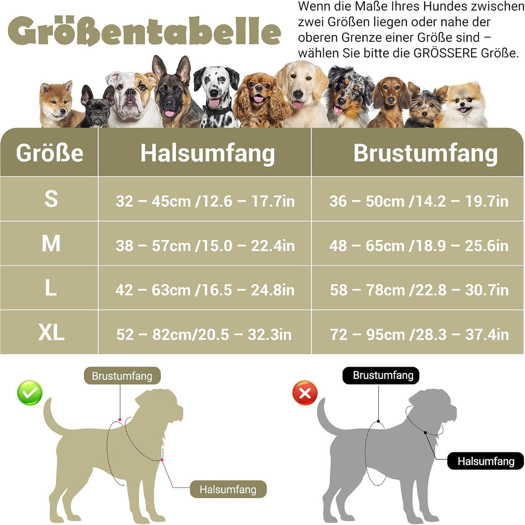 Funfox Hundegeschirr Kleine Hunde [M] - Anti Zug Welpengeschirr mit Griff &amp; Ringreflektoren, Atmungs