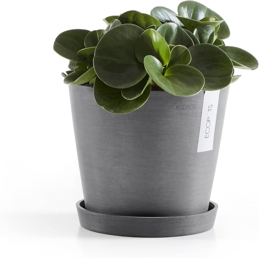 Ecopots Blumentopf Amsterdam Hell Grau - Durchmesser Ø 13 cm rund klein - Pflanzentopf aus Recycling