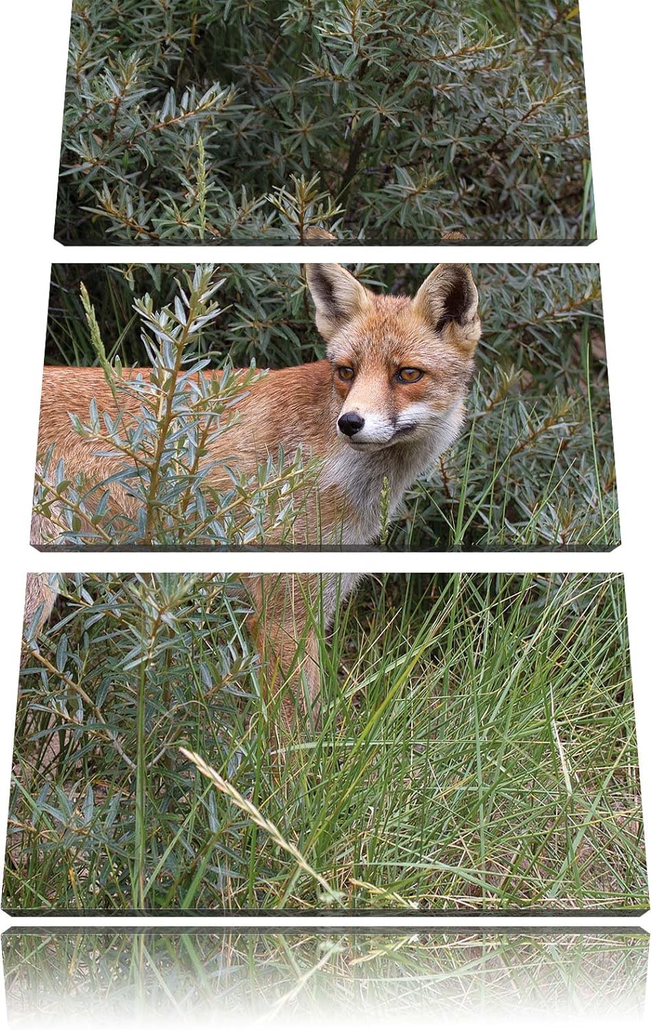 Pixxprint listiger Fuchs im Wildstrauch 3-Teiler Leinwandbild 120x80 Bild auf Leinwand, riesige Bild