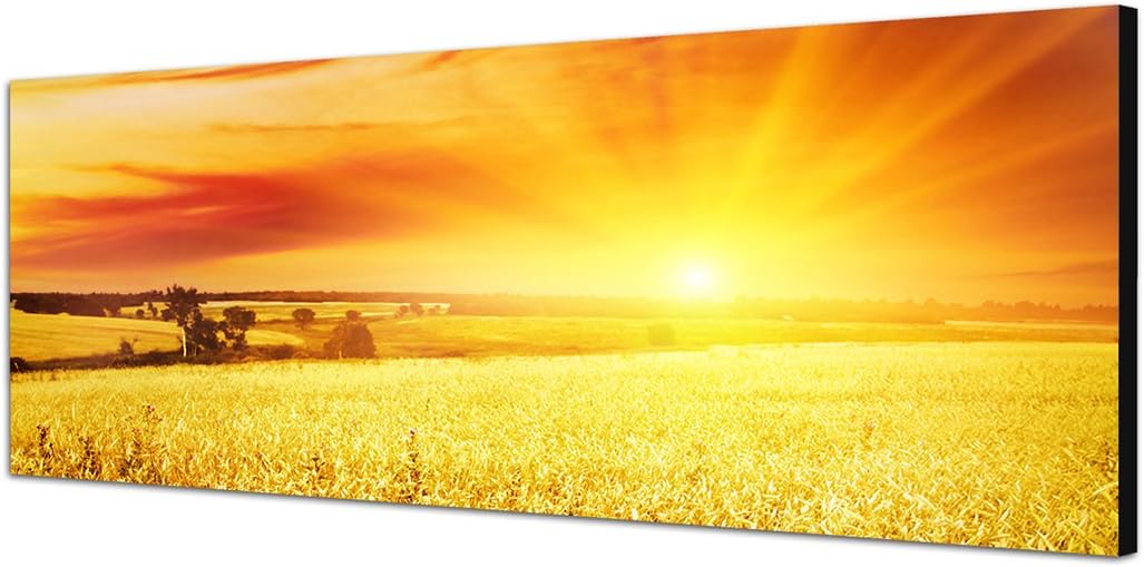 Paul Sinus Art Panoramabild auf Leinwand und Keilrahmen 150x50cm Kornfeld Sonnenuntergang Landschaft