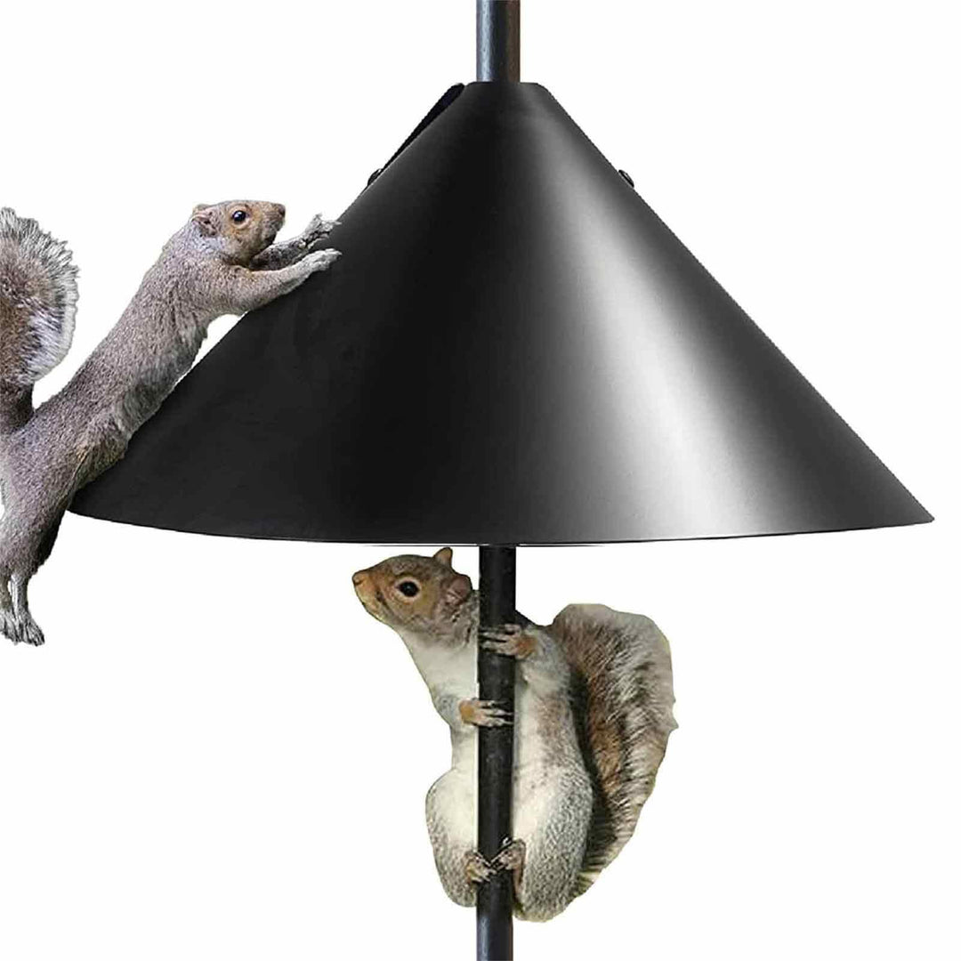 Eichhörnchen-Windabweiser für Pfosten, Eichhörnchen-sichere Vogelfutterstation - Eichhörnchen-Vogelf