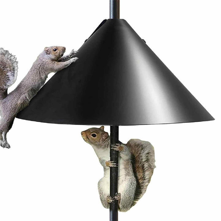 Eichhörnchen-Windabweiser für Pfosten, Eichhörnchen-sichere Vogelfutterstation - Eichhörnchen-Vogelf