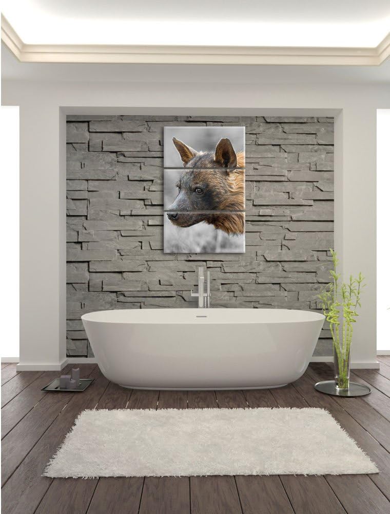 Pixxprint anmutige Hyäne im Wildgras als Leinwandbild/Grösse: 3 Teilig (120x80) cm/Wandbild/Kunstdru