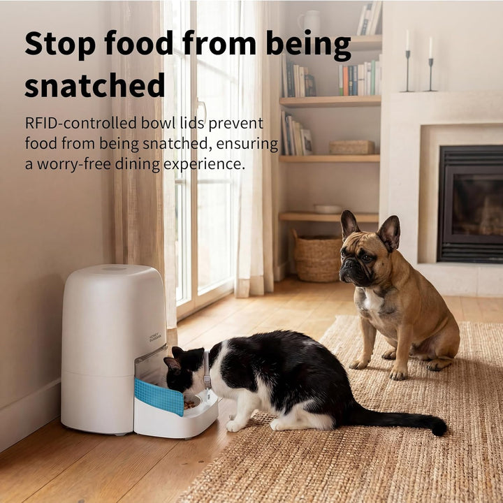 Futterautomat Katze RFID, 5G WiFi Futterspender Katze mit Collar-Tag-Sensor, 4.6L Katzenfutter Autom