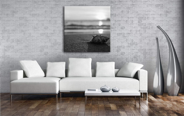 deyoli einzelne Muschel am Strand Format: 70x70 Effekt: Schwarz&Weiss als Leinwandbild, Motiv auf Ec